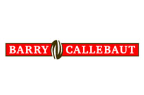 IT Security System Engineer | BARRY CALLEBAUT SSC EUROPE 