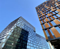 Zarządzanie studia w Łodzi