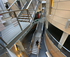 Studia na kierunku prawo w Łodzi stacjonarne czy niestacjonarne – jaki tryb wybrać?