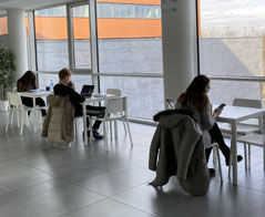 Jak znaleźć studia na kierunku psychologia w Katowicach?