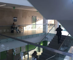 Dlaczego warto iść na studia na kierunku fizjoterapia w Warszawie?