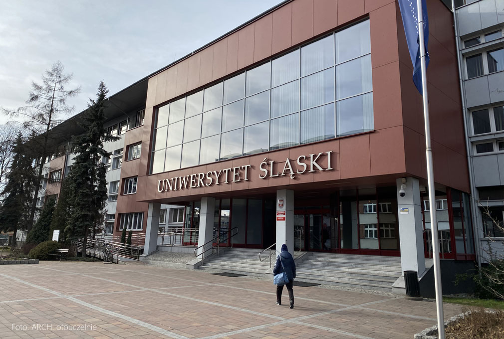 Jaka praca po studiach na kierunkach psychologicznych?