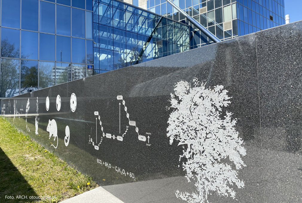 Czy warto iść na studia na kierunkach biologicznych i przyrodniczych