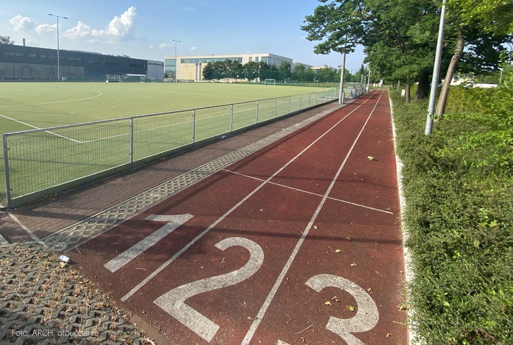 Jak wyglądają studia sportowe