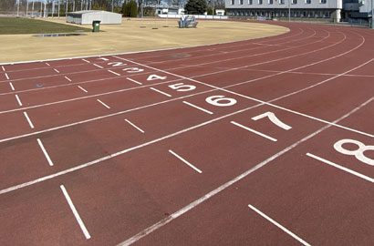 Akademia Wychowania Fizycznego - kierunki studiów 2026/2027