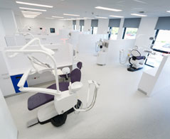 Kierunek Lekarsko-Dentystyczny (stomatologia) - Warszawski Uniwersytet Medyczny