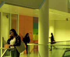 Muzeologia – Uniwersytet Rzeszowski