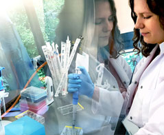 Biogospodarka - Politechnika Łódzka