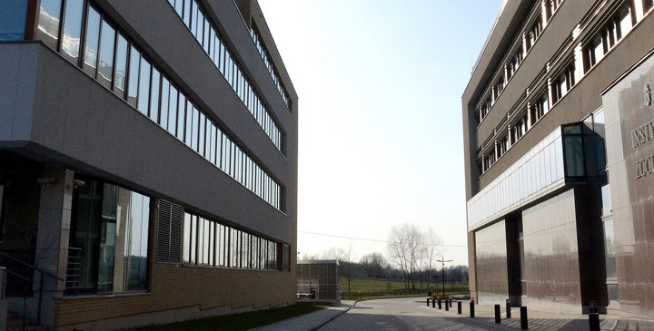 Uniwersytet Jagielloński - kierunki studiów 2026/2027