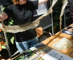 Archeologia - Uniwersytet Jagielloński w Krakowie