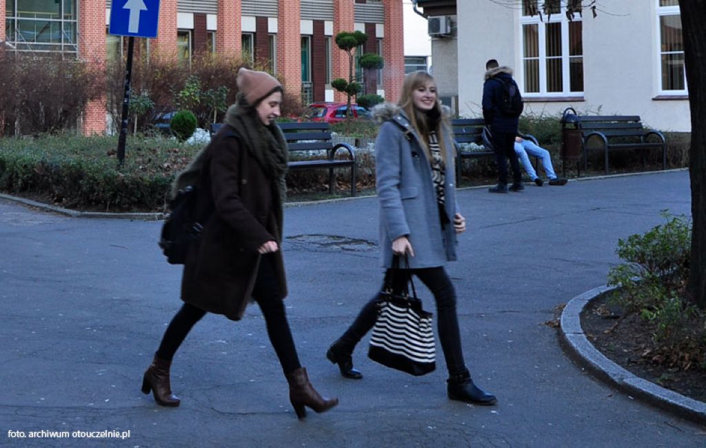Studia europejskie