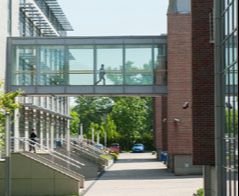 Fizjoterapia - Uniwersytet Andrzeja Frycza Modrzewskiego w Krakowie