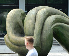 Biologia - Uniwersytet Jana Kochanowskiego w Kielcach 