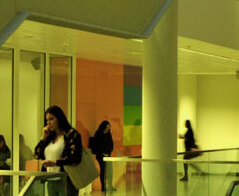 Biotechnologia medyczna – Collegium Medicum im. Ludwika Rydygiera w Bydgoszczy 