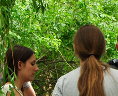 Zdrowie publiczne – Collegium Medicum im. Ludwika Rydygiera w Bydgoszczy 