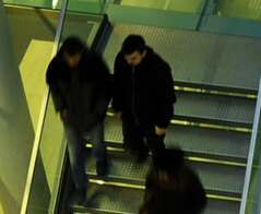 Analityka medyczna - Pomorski Uniwersytet Medyczny w Szczecinie