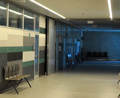 Genetyka i biologia eksperymentalna - Uniwersytet Gdański