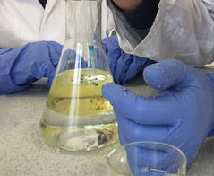 Analityka chemiczna - Uniwersytet Łódzki