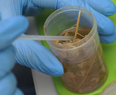 Ochrona środowiska - Uniwersytet Warszawski