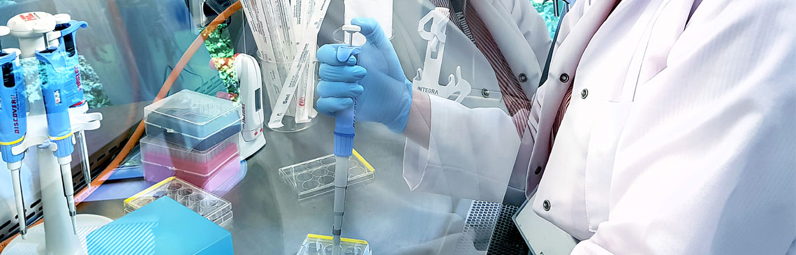 Politechnika Łódzka - kierunki studiów 2026/2027