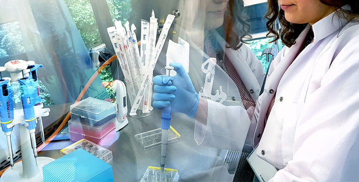 Politechnika Łódzka - kierunki studiów 2026/2027