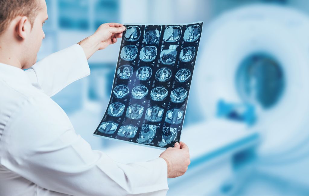 Uniwersytet Medyczny - kierunki studiów 2026/2027