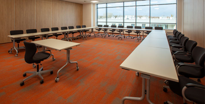 Uniwersytet VIZJA - kierunki studiów 2026/2027