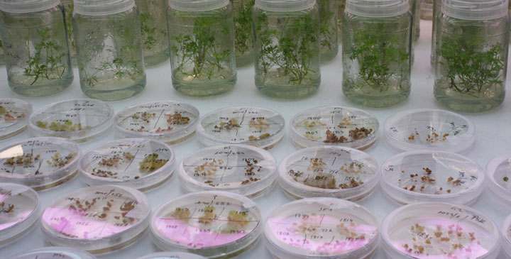 Uniwersytet Rolniczy w Krakowie - kierunki studiów 2026/2027