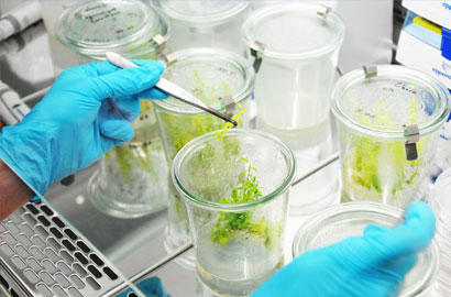 Uniwersytet Przyrodniczy (UPWR) we Wrocławiu - rekrutacja na studia 2026/2027