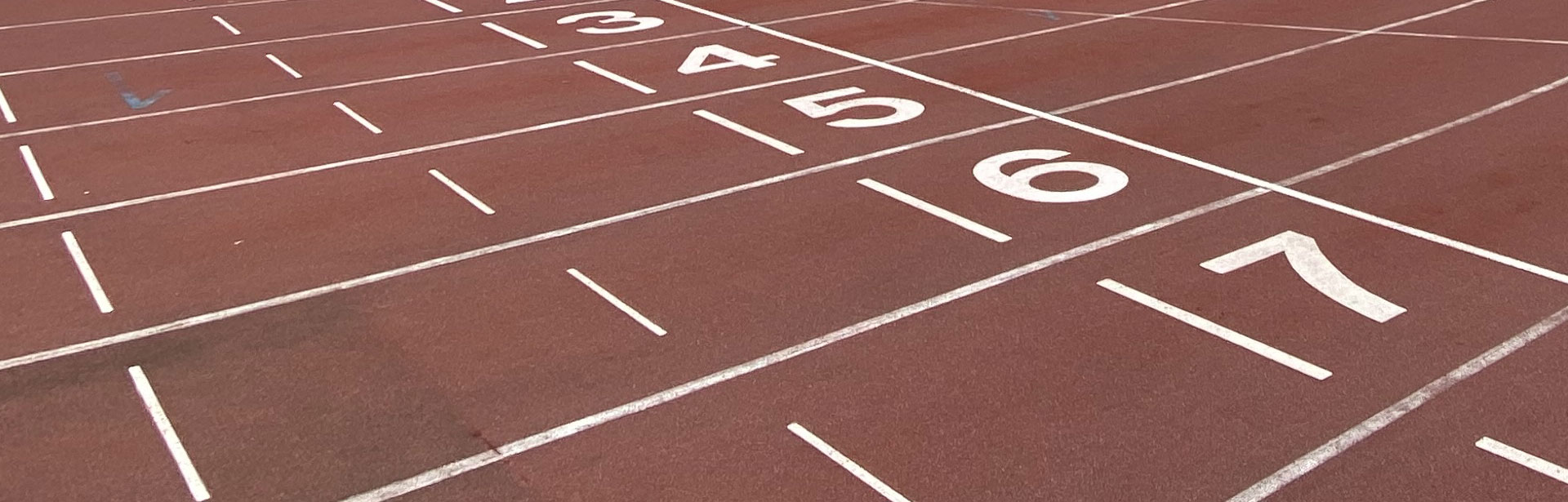 Akademia Wychowania Fizycznego we Wrocławiu - rekrutacja na studia 2026/2027