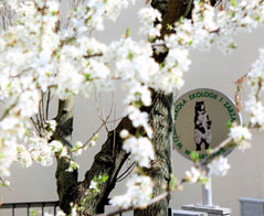 Mechanika i budowa maszyn – Akademia Techniczno-Artystyczna Nauk Stosowanych w Warszawie