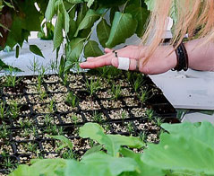 Technika rolnicza i leśna - Uniwersytet Rolniczy im. Hugona Kołłątaja w Krakowie