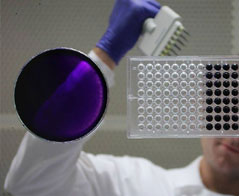 Biologia – Uniwersytet Warszawski