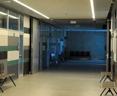 Zwierzęta w rekreacji, edukacji i terapii - Uniwersytet Warmińsko-Mazurski w Olsztynie