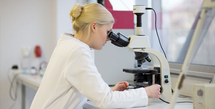 Zachodniopomorski Uniwersytet Technologiczny - kierunki studiów 2026/2027