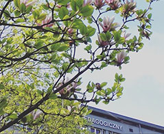 Ochrona środowiska - Uniwersytet Komisji Edukacji Narodowej w Krakowie