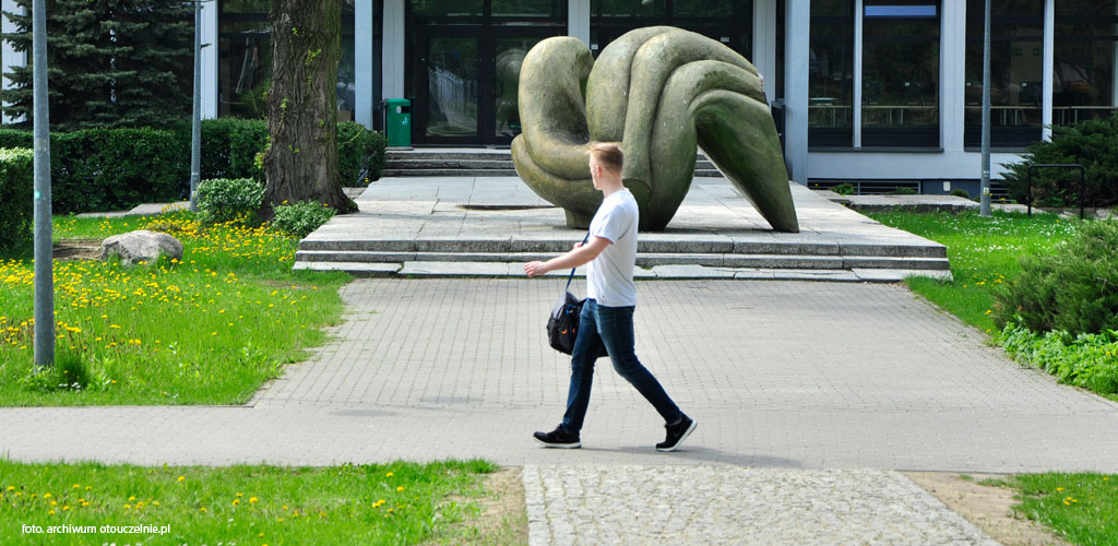 Edukacja artystyczna w zakresie sztuki muzycznej