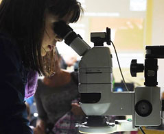 Inżynieria chemiczna i procesowa - Politechnika Krakowska im. Tadeusza Kościuszki