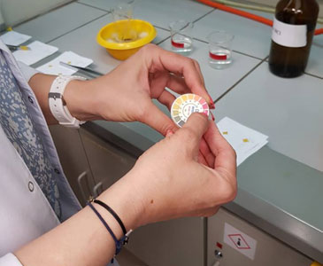 Collegium Medicum im. Ludwika Rydygiera w Bydgoszczy  - studia podyplomowe