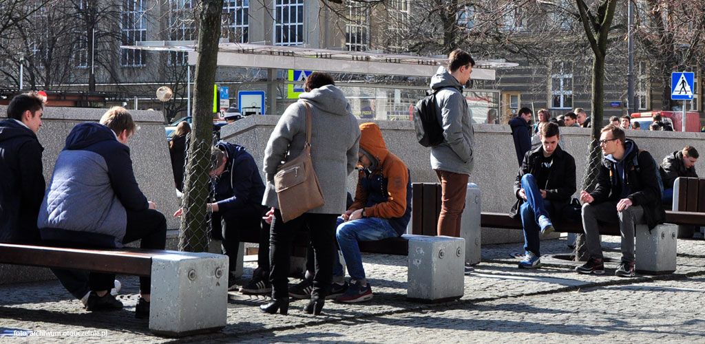 Edukacja artystyczna w zakresie sztuk plastycznych