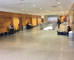 Administracja studia niestacjonarne Wrocław