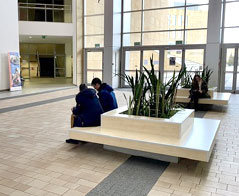 Filologia polska studia online - Łódź