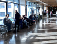 Studia pedagogiczne Łódź