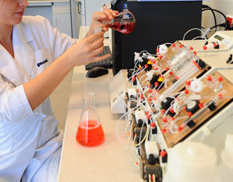 Studia biologiczne i przyrodnicze Olsztyn