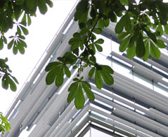 Grafika studia niestacjonarne Łódź