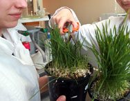 Studia biologiczne i przyrodnicze Katowice