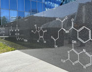 Studia chemiczne Warszawa