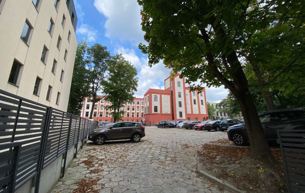 Jaka praca po pedagogice