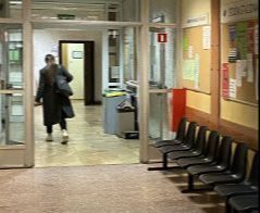 Architektura krajobrazu - Warszawa