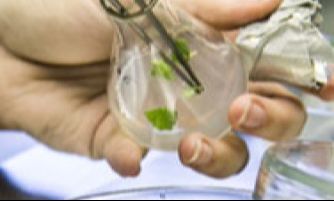 Biotechnologia - Warszawa